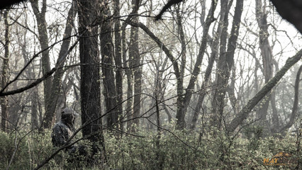 Turkey Hunting Tips for a Successful Season