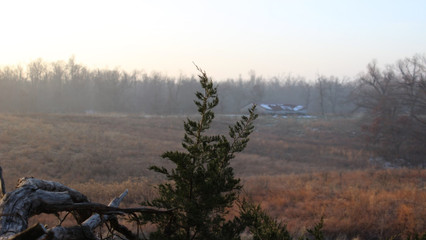 Hunting Land: Should You Buy? Hunting Land: Should You Buy?