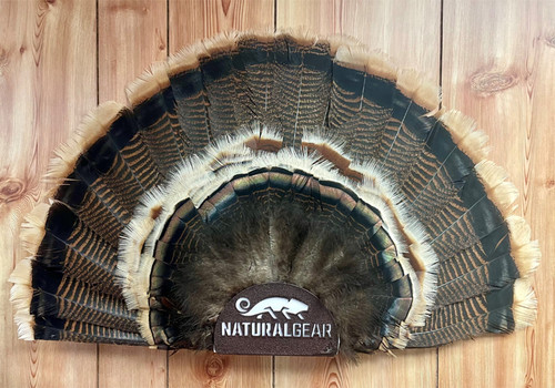 Custom Turkey Fan and Beard Display