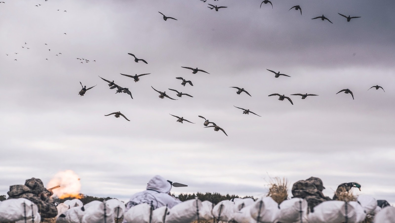 Duck Hunt of a Lifetime - Day 4 on the Hillside