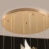 Signature Chandelier Light -SPLENDID SWANS Signature Chandelier Light -SPLENDID SWANS
