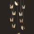 Signature Chandelier Light -SPLENDID SWANS Signature Chandelier Light -SPLENDID SWANS