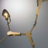 Signature Chandelier Light -THE CELESTIAL BLINK