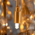 Signature Chandelier Light -THE ELIXIR OF REGALIA -B Signature Chandelier Light -THE ELIXIR OF REGALIA -B