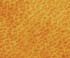 Asian Paints - ColourWash - Texture Paint - Orange Vision
