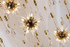 Signature Chandelier Light -VESTA VICTORIA Signature Chandelier Light -VESTA VICTORIA