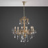 Signature Chandelier Light -THE ILLUSTRIOUS INCARNATION -A