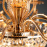 Signature Chandelier Light -THE IMPERIAL YEARN -A Signature Chandelier Light -THE IMPERIAL YEARN -A