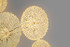 Signature Wall Light -THE COTERIE -A Signature Wall Light -THE COTERIE -A