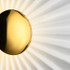 Signature Wall Light -THE EPITOME OF ELAN-D Signature Wall Light -THE EPITOME OF ELAN-D