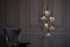 Signature Chandelier - Proforma of Glory Signature Chandelier - Proforma of Glory
