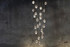 Signature Chandelier - Limpid Jewels 2 Signature Chandelier - Limpid Jewels 2