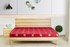 Sleepwell Admire Supportec 4.5inch Foam Mattresses Sleepwell Admire Supportec 4.5inch Foam Mattresses
