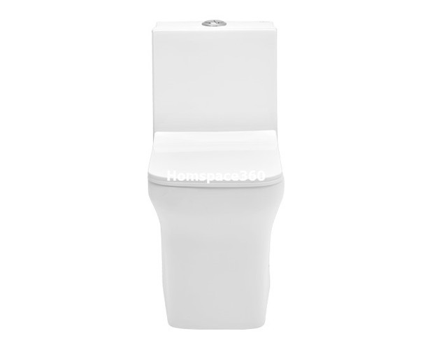 Cera-S1013208-S-220-One-Piece-Toilet-With-Flush-Tank-4