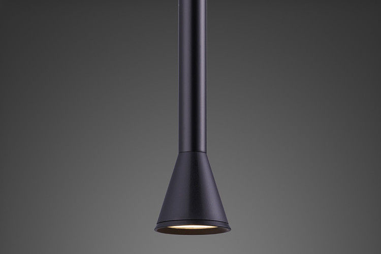 Signature Pendant Light - Twigs of Fire-A