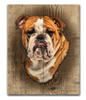 Bulldog-- 12x15 Planked Wood Sign