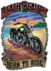 "BEACH BEAUTY--BORN TO RIDE"  METAL  SIGN