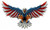 "Eagle  With  US  Flag  Wings  Spread"