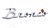 Ford Brand Chrome Plated Bronco Script Emblem 