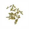 #5 x 3/8 Flat Head, Brass Plated Wood Screw