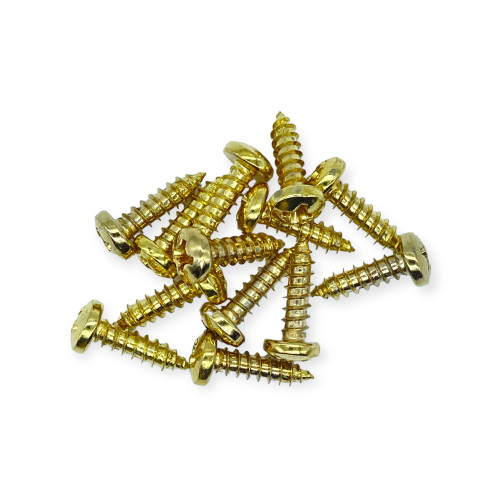 #6 x 1/2 inch Brass Plated Phillips Pan Head Screws #6 x 1/2 inch Brass Plated Phillips Pan Head Screws
