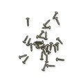 #1 x 1/4 inch Nickel Plated Phillips Round Head Screws