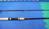 ACSS862MLFS Spinning Rods