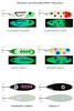 Moonshine Lures Moonmaster MSMK Trolling Spoon CHOOSE YOUR  SIZE AND COLOR!