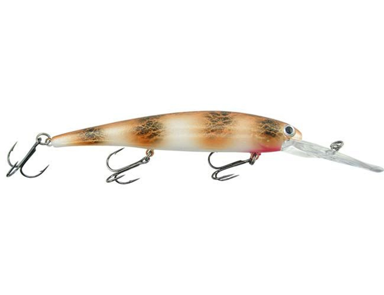 This one is called, Confused, and it is one of 10 great new colors for  the Bandit Walleye Deep! #LandItWithBandit