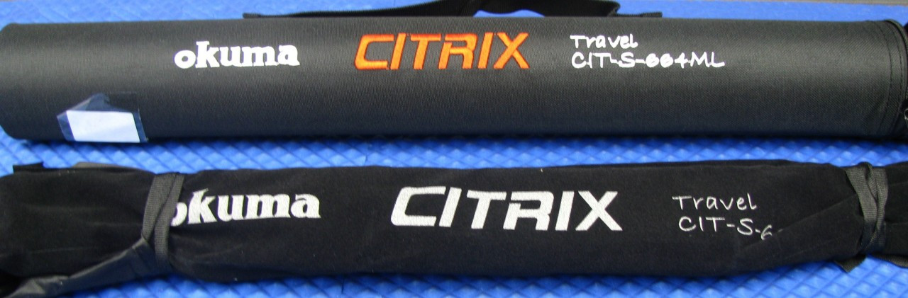 citrix travel