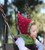 San Diego Hat Daylee Design  RED STRAWBERRY Pixie Bonnet 6-12 mos boy girl gift