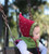 San Diego Hat Daylee Design  RED STRAWBERRY Pixie Bonnet 12-24 mos 1-2 year gift