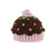 San Diego Hat. BABY Brown PInk Hat CUPCAKE Beanie