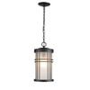 Sicily 1-Light Frosted Glass Large Black Outdoor Hanging By Mirage Lighting