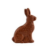 6 oz Solid Chocolate Sitting Bunny