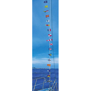 RWB Flags Set on 12 Metres String (RWB8259)