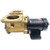 SPX Flow Johnson Extra Heavy Duty Electro-Magnetic Clutch Pump F9B-5600 (J-10-13178-99)