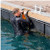 Outils Magic-Reboard Pontoon Emergency Ladder