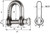 Wichard Titanium D Shackle (51203/51204)