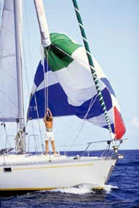 ATN Spinnaker Sleeve