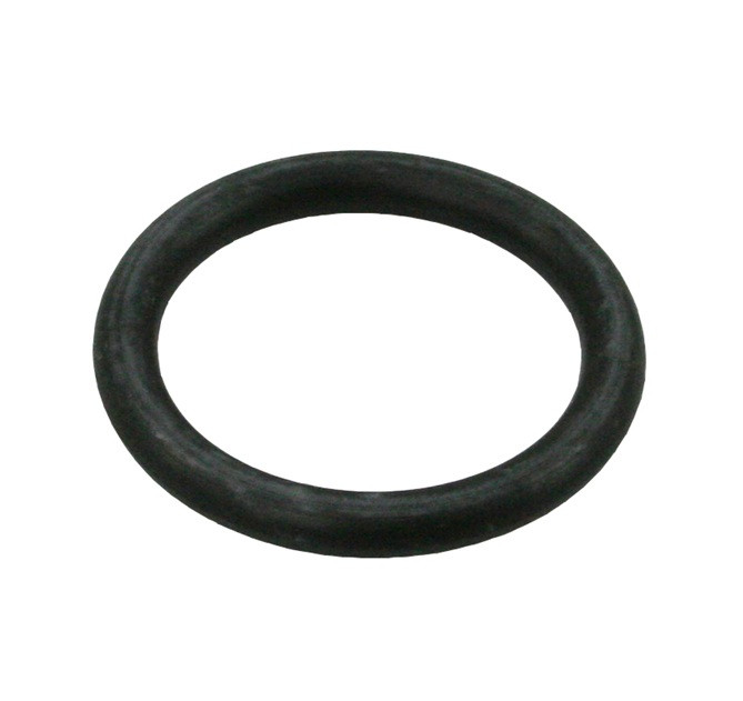 RWB Jabsco Twist-N-Lock O Ring For Piston (J15-242)