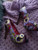 IRON FIST purple heels