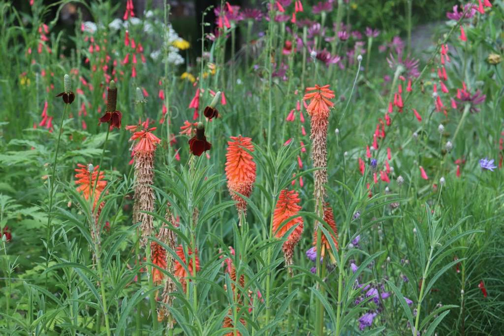 SAND GARDENING IN SOUTH CENTRAL INDIANA