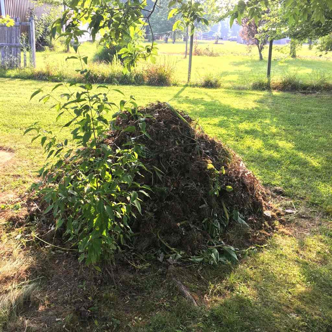 Vivat compost (two months resume I)