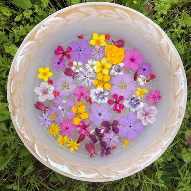 Perennial Mix - Shipping Fee for K. Engle