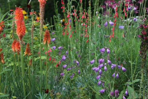 SAND GARDENING IN SOUTH CENTRAL INDIANA