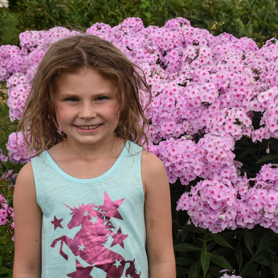 Tall Phlox 'Opalescence' - top performing phlox for a sunny garden ©Walters Gardens