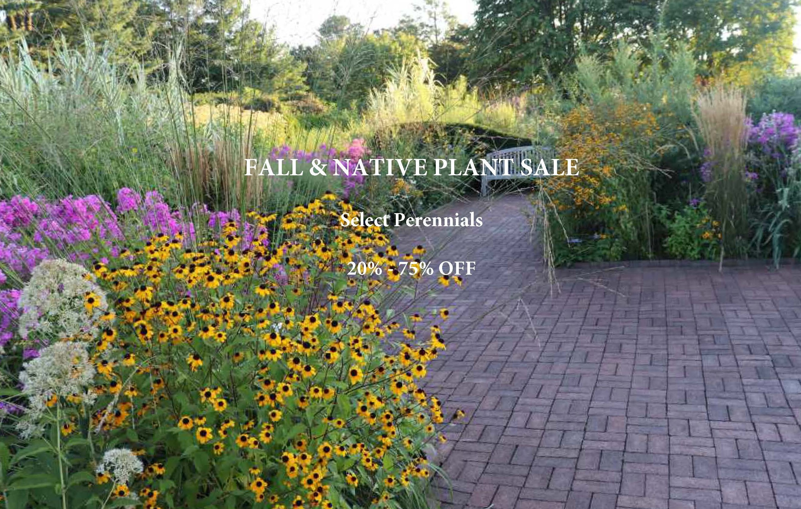 Best Outdoor Plants for Direst Sun in Florida: Ultimate Heat-Resistant Picks 3 Best Outdoor Plants for Direst Sun in Florida: Ultimate Heat-Resistant Picks