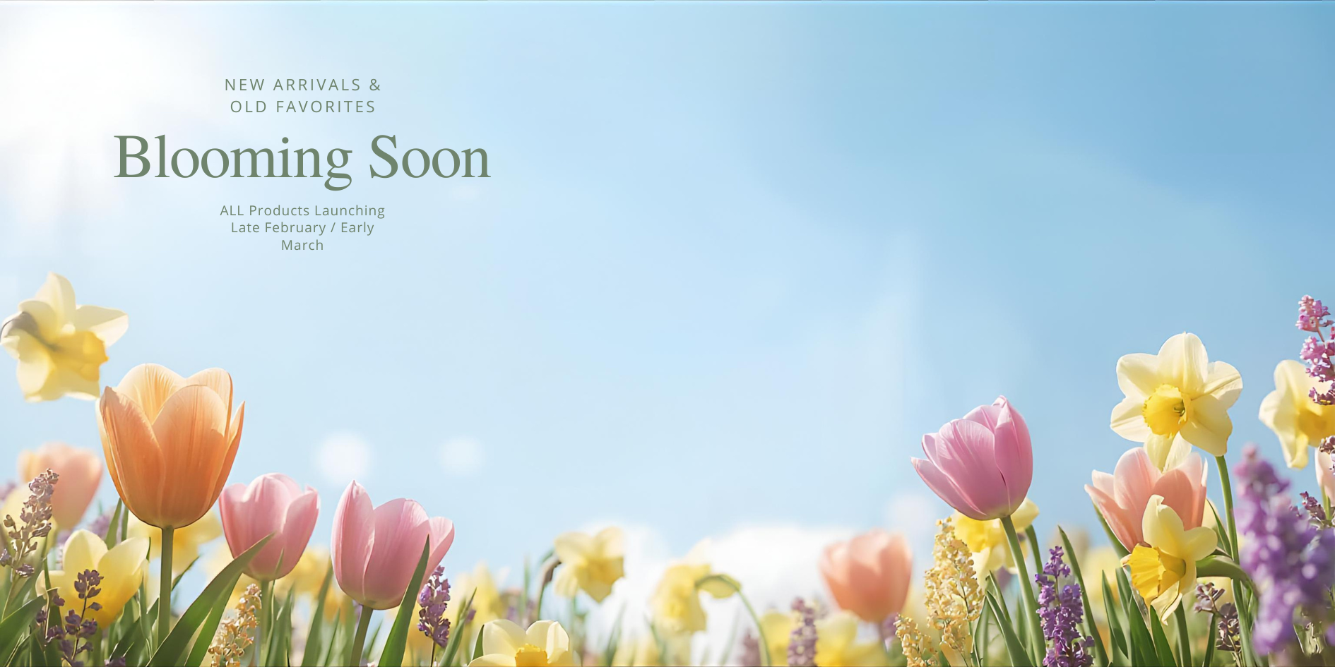 vibrant-banner-with-tulip-and-daffodil-meadow.png