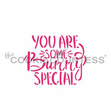 You Are Some Bunny Special Cookie Stencil